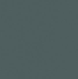 22mm Verde Plomo 0.8mm ABS Edging